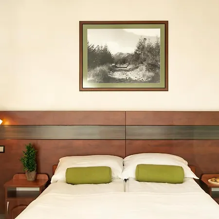 Dw Bogun 3* Białka Tatrzańska